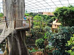 Leipzig Zoo What To See In Zoo Public Aquarium Animal Conservation