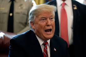 Image result for trump