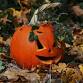Secret Pumpkin PYO SEN Session 2025 event image