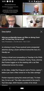 Even through the face of a cat, ponton's mortification was clearly visible. 41 Judicial Recording Of This Hearing Or Live Stream Is Prohibited Violation May Constitute Contempt Of Court And Result In A Fine Of Up To 500 And A Jail Term Of Up