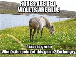 Rfd Tv Officialrfdtv Horses Horse Jokes Animal Quotes