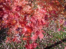 Check spelling or type a new query. A Letter To My Ex Husband Back On My Own