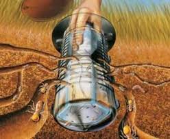 Examine outside electrical meters or fuse boxes for termite populations. Pin On Household Hints