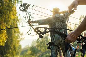 The 12 Best Compound Bows Reviewed Revealed 2019 Hands