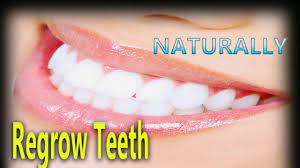 Regrow Your Broken Teeth Naturally Within 6 Months Ages 10 79 Youtube Broken Tooth Teeth Tooth Decay In Children