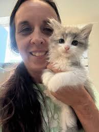 looking to adopt a cat or kitten🐾