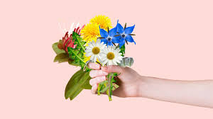 The blood of flowers theme. 11 Edible Flowers With Potential Health Benefits