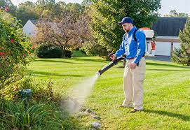 817 silver spring ave, ste 308, silver spring (md), 20910, united states. Effective Home Pest Control In Md Va And Dc