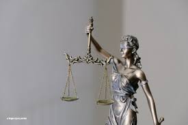 Image result for Justicia incana