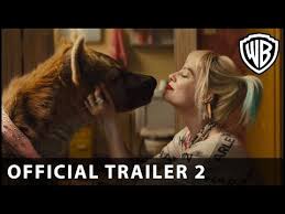 Birds Of Prey Trailer Song Pin On Asylum Likes