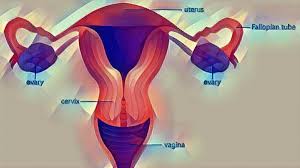 Learn uterine cancer symptoms, signs, prognosis, survival rate, stages, and treatment. Endometrial Cancer Causes Symptoms Diagnosis And Treatment Boldsky Com