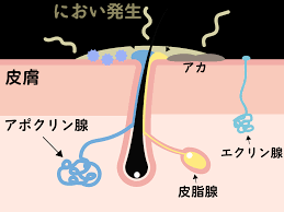 株式会社水生活製作所