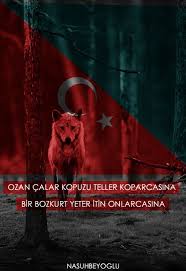Turk Turanci Asya Tarihi Havacilik Sozleri Kitap Okuyan Kizlar