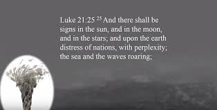Image result for Luke 21:25 frank dimora