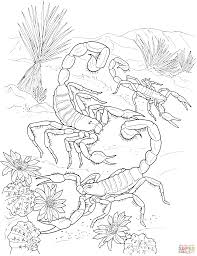 Desert Scorpions Coloring Page Free Printable Coloring Pages Animal Coloring Pages Insect Coloring Pages Coloring Pages