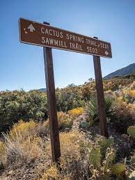 Walk on cactus spring trail to backpack camp site for sierra club provisional overnight trip. Cactus Spring Trail Has Plenty To Offer For A Half Day Hike