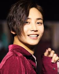 Non White Washed Jeonghan Ladies And Gens Jeonghan Jeonghan Seventeen Seventeen Kpop