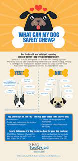 Safe Chew Toys For Dogs Vet Recommended Tips To Help You Chews Wisely Dog Toys Safe Dog Toys Dog Chews