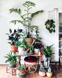 Continuing To Marvel At The Fast Friendship Forming Between Botanicals And Vintage Over At Our Mavencollectpdx Pop U Plant Decor Indoor Plants Interior Plants
