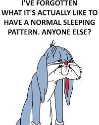 Can't sleep memes, for anyone who loves sleep but simply can't. 50 Most Popular I Can T Sleep Quotes Sayings Cant Sleep Quotes Funny Sleep Quotes Funny Sleep Quotes