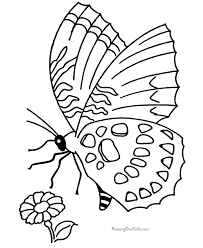 Color me color colorful pictures doodle art colouring pages colorful drawings mandala coloring art. Printable Butterfly Coloring Picture