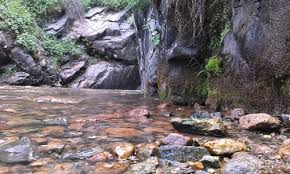 We did not find results for: Back To Nature Outdoors Sunday S Daily Jigsaw Puzzle Play Free Daily Jigsaw Puzzles From Jigsawaday