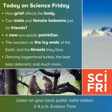 Slippery Sluts (Follow4Follow) (@slipperysluts.bsky.social) — Bluesky