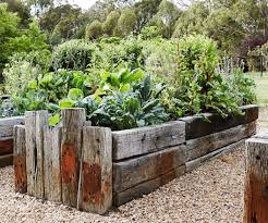 Pin By Noha Dlouha On Rustic Charm Vege Garden Ideas Rustic Backyard Plants