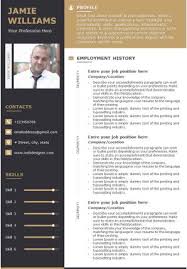 A professional biodata normally contains all factual information of an individual including personal details, gender, religion, race, nationality, date of birth, parent names, height, weight, marital status, complexion, eye colour, contact. Professional Bio Data Sample With Education And Work Experience Powerpoint Slide Presentation Sample Slide Ppt Template Presentation