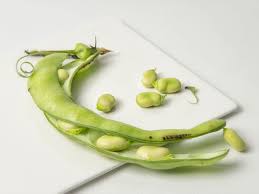 Image result for fava