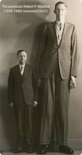 Check spelling or type a new query. Reflexions The Mystery Of The Tallest Giants Is Revealed