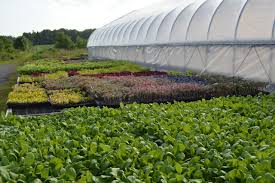 Image result for tbn:0PJB32OL7JwfOM::farm4.static.flickr.com/3324/3329876139_f2d551139f.jpg