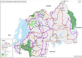 Image result for Ypsilopus liae