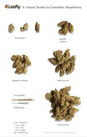 What Does 1 Gram Of Cannabis Look Like A Visual Guide To