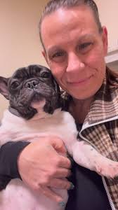 Well Hello There , #frenchielove