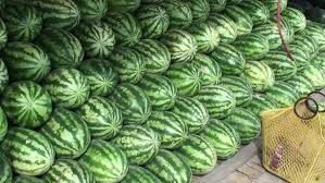 Maybe you would like to learn more about one of these? Mawlamyine Monmyanmar 01082018 Watermelon Stock Footage Video 100 Royalty Free 1006576396 Shutterstock