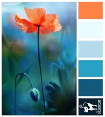 Pastel blue and orange palette. Poppy Love Teal Blue Tiffany Sky Pastel Orange Designcat Colour Inspiration Pallet Blue Color Schemes Teal Color Schemes Blue Color Combinations