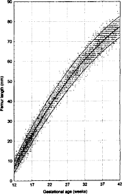 fetal ultrasound biometry 2 abdomen and femur length