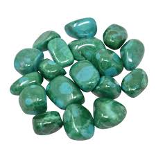 Image result for Chrysochloa