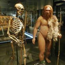 The Curious Sex Lives of Neanderthals | Short History