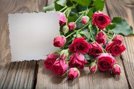 pink roses and card rose flower wallpaper flower background wallpaper flower frame