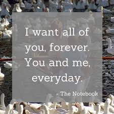 It means never making a mistake in love, never hurt the one you love. Indian Wedding Quotes Magical Quotes To Express Your Love Indian Fashion Blog