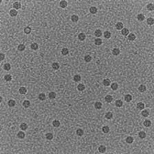 Image result for Silver Grey 1998 AAV