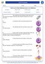 Plant cells chloroplasts, a large vacuole, and a thick cell wall. Cell Processes High School Biology Worksheets Vocabulary Sets And Answer Key Indiana Academic Standards