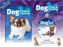 Here you'll find content that will help you train your dogs. 9781741856484 Hinkler Books Dog Tricks Training Book Dvd Abebooks Heather Hammond 1741856485