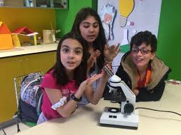 Mikroskopta Ilk Gozlemler Paramecium Terliksi Hayvan Vr Goggle Goggles Electronic Products