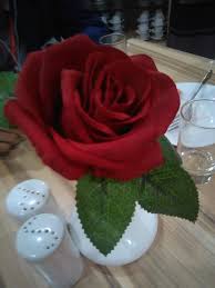 Contents1 pohon melati1.1 klasifikasi bunga melati2. Bunga Melati Bunga Mawar Saya Cantik Siapa Yang Mau Lamar U Zzqta