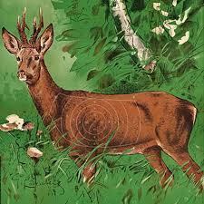 Als äußerst zweckmäßige und preislich moderate variante dienen zielscheiben aus dem biologischen werkstoff. Scheiben Kuert Druck Ag