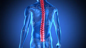 Why is Exercise Important for Lower Back Pain? - A Body In Motion ...