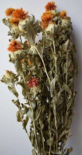 To press flowers, pick the flowers on a hot, dry day to prevent molding, and find a heavy book to press your flowers in, such as an encyclopedia, dictionary, or phone book. Safflower Dried Flower Bunch Wholesale Dried Flowers Shop